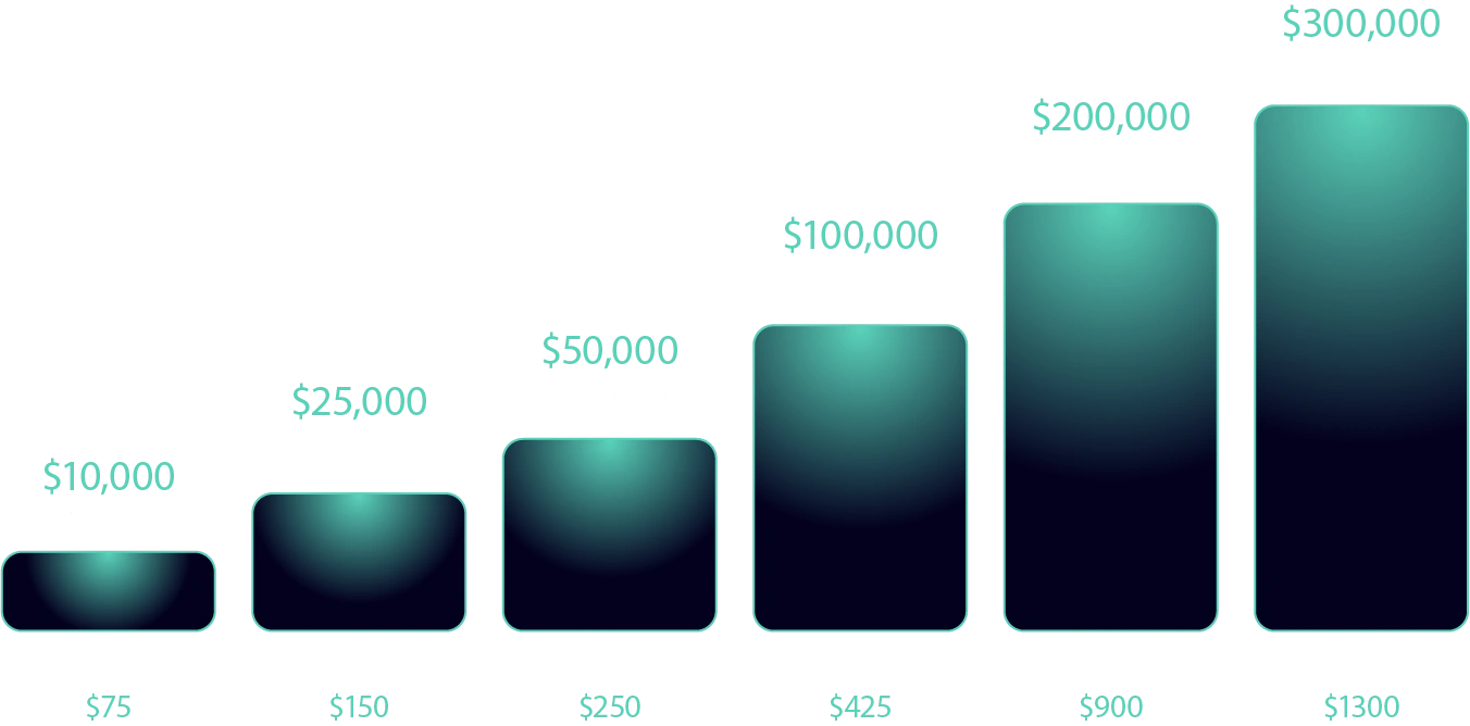 Asset 13